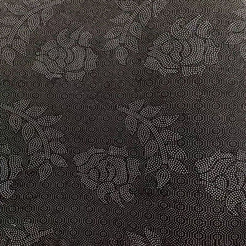 Black Modern Carpet Polyester Graphic Carpet Stain Resistant Carpet for Living Room