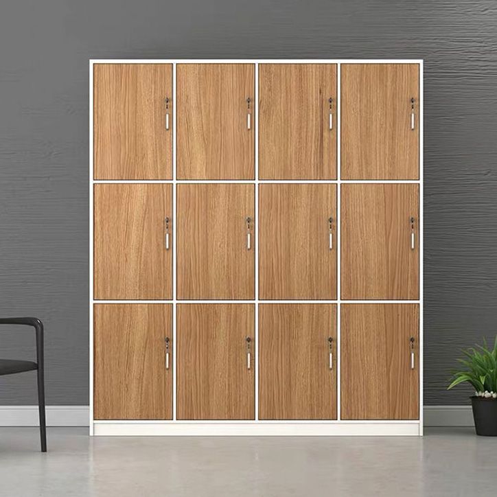 Natural Finish Indoor Cabinet Contemporary Storage Cabinet with Hinged Door