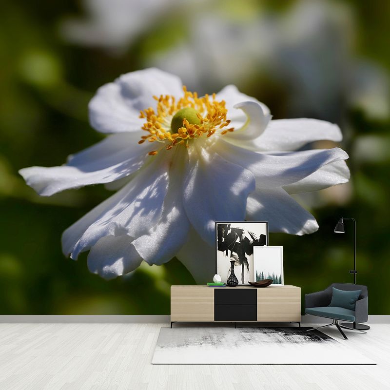 Customized Moisture Resistant Mural Wallpaper Decal Autumn Anemone Wall Decor