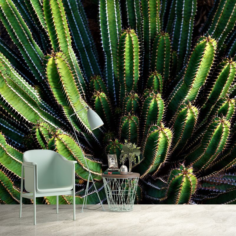 Tropical Plant Cactus Mural Wallpaper Contemporary Wall Covering for Study Room