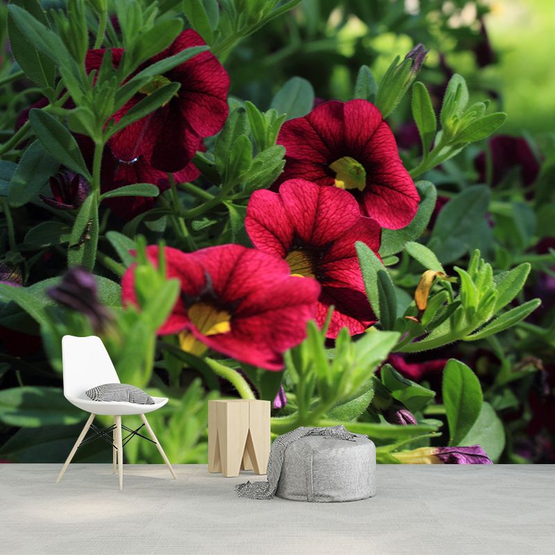 Modern Petunia Mural Wallpaper Stain Resistant Wall Covering for Living Room