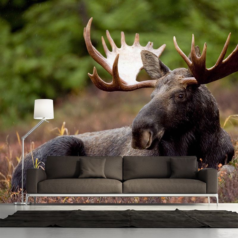 Moose Mural Decal Eco-friendly Wallpaper Customized Wall Covering for Sitting Room
