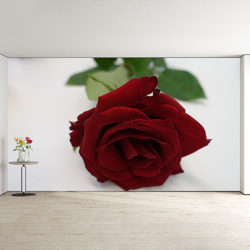 Elegant Rose Mural Wallpaper Washable Wall Covring for Girls' Bedroom Home Decor