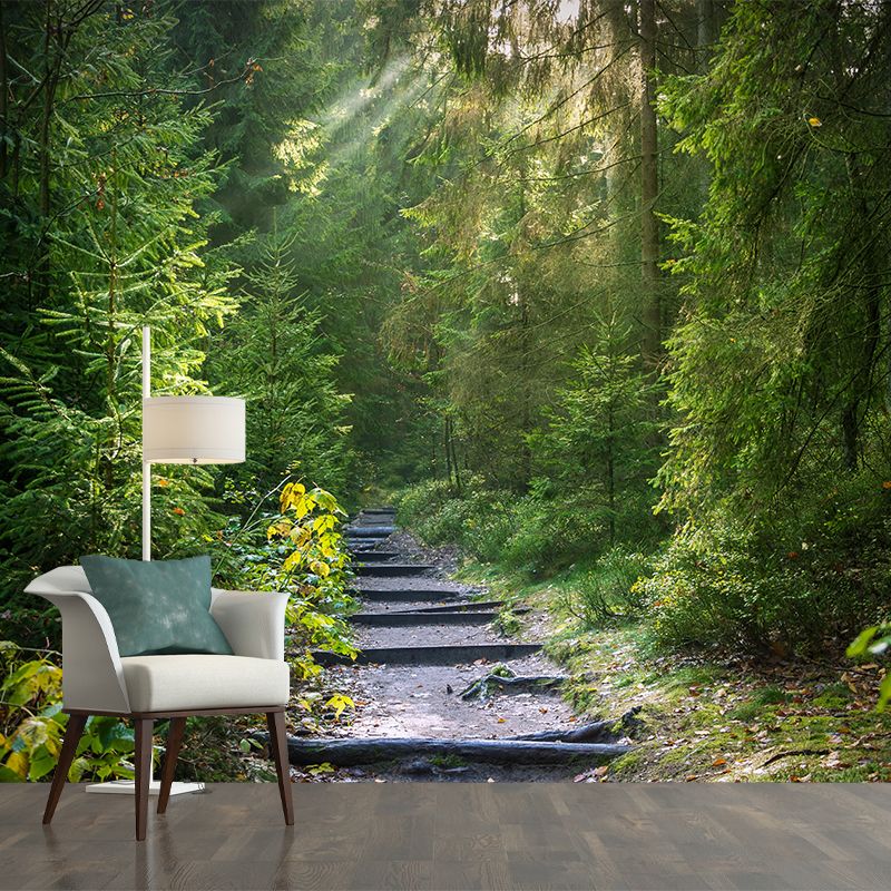 Forest Full of Spring Mural Wallpaper for Decoration Modern Living Room Wall Covering