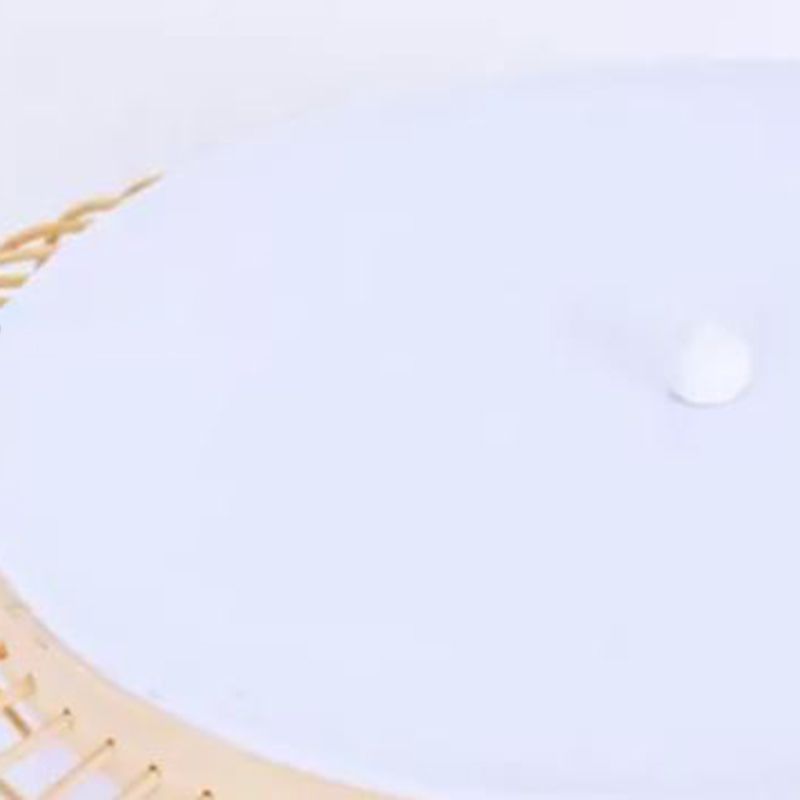 Round Shape Ceiling Lamp Asian Style Rattan 1 Light Flush Mount voor slaapkamer