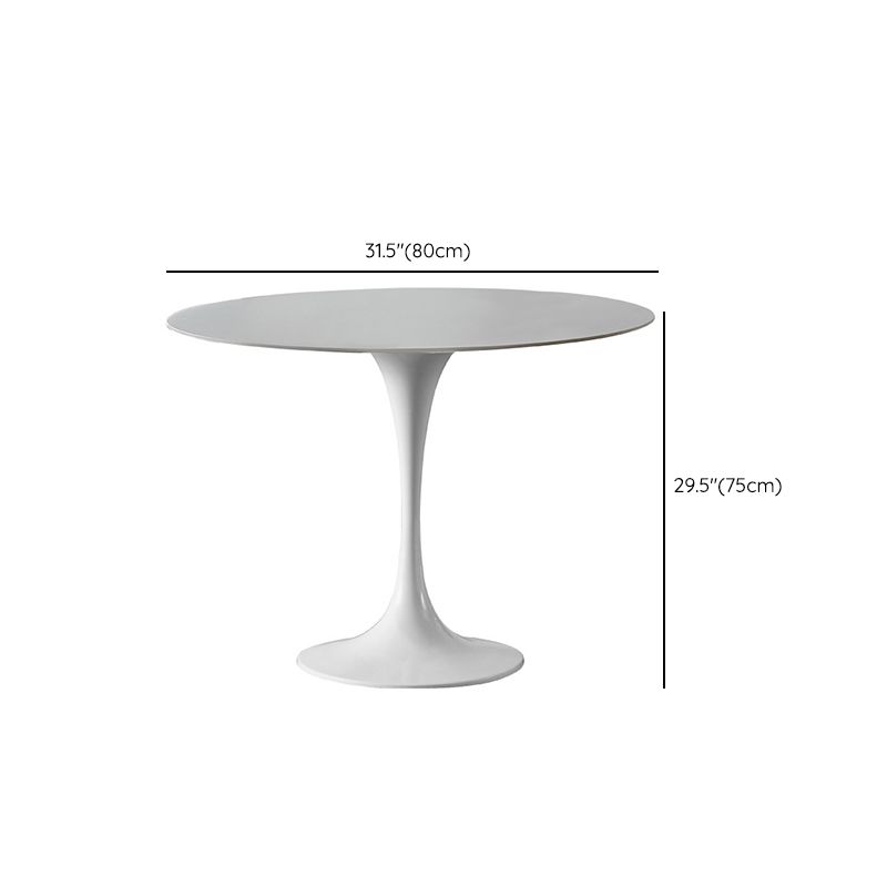 Modern Tulip Pedestal White Dining Table Stone Table for Kitchen