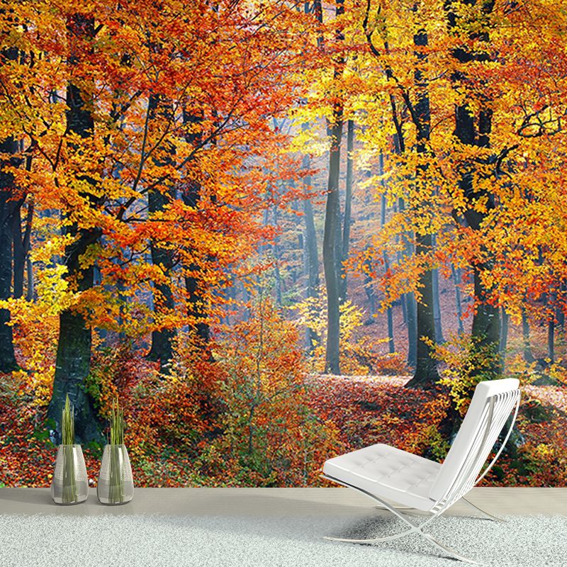 Photography Stain Resistant Wall Mural Wallpaper Forest Sitting Room Wall Mural