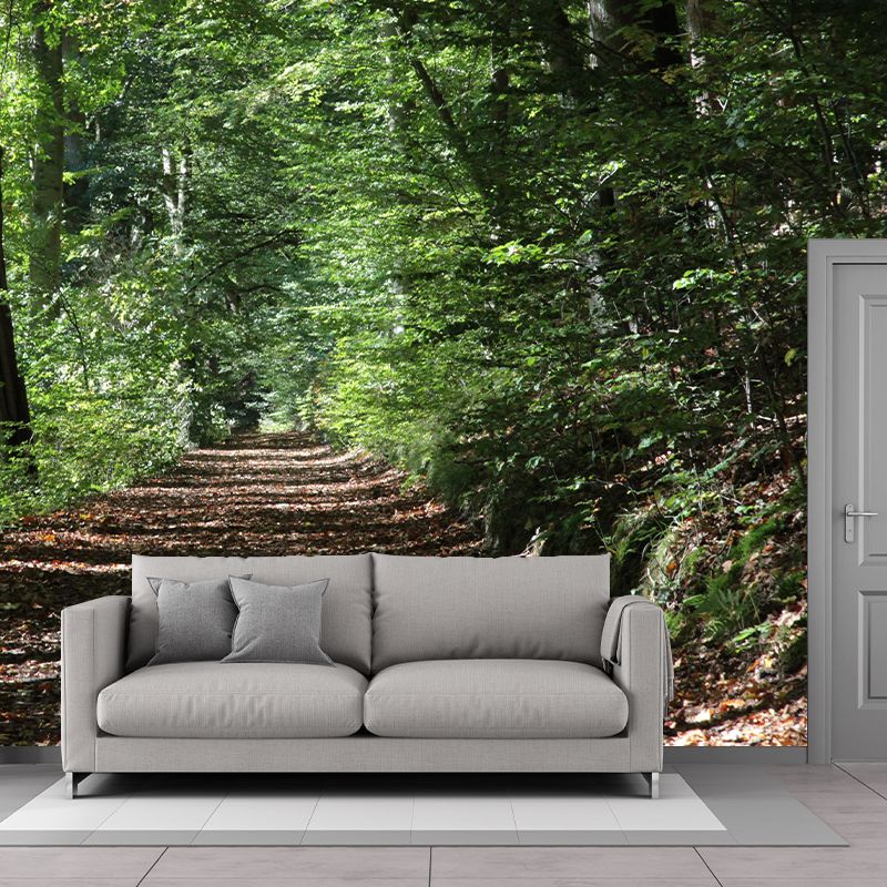 Contemporary Photography Landscape Wall Mural Decorative Wall Mural for Bedroom