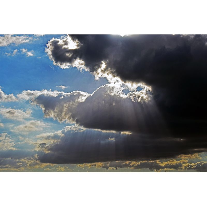 Sky View Wall Mural Wallpaper Modern Style Mildew Resistant for Living Room