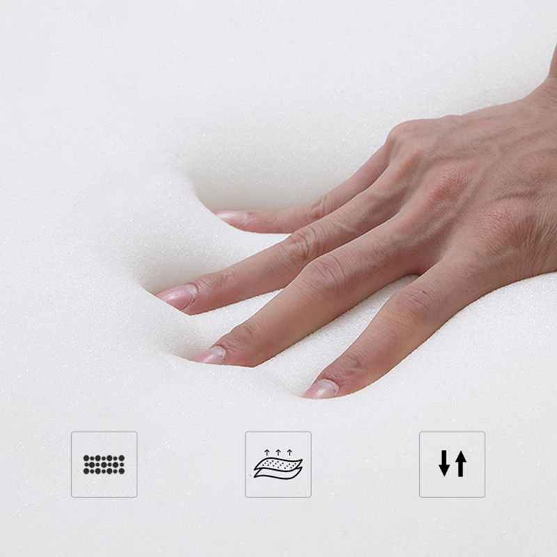 Modern Bed Frame Mattress Included Standard Bed with Custom Gold Legs