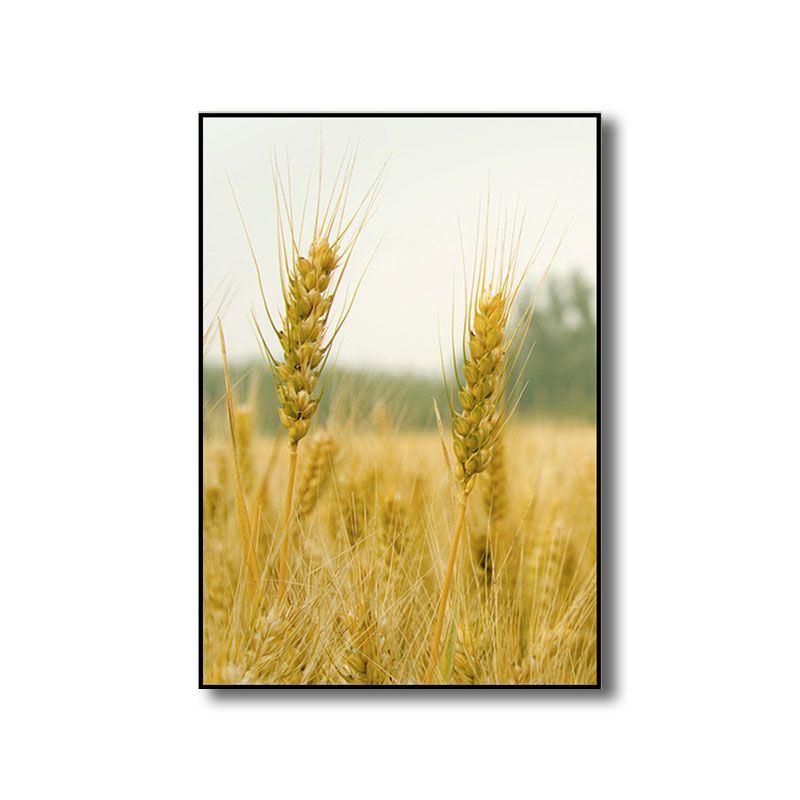 Decorative Wheat Field Art Print Modernist Canvas Wall Decor in Light Color for Parlor