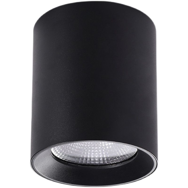 Cylinder Metal Ceiling Light Fixture Modern Style LED Ceiling Flush Mount