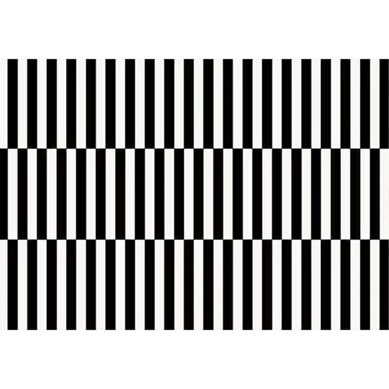 Modern Striped Pattern Carpet Polyester Area Rug Stain Resistant Indoor Rug for Home Decoration