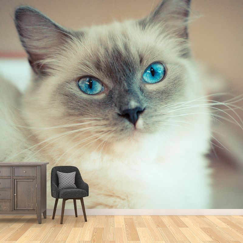 Lovely Cat Mural Wall Decor Living Room Mildew Resistant for Decoration