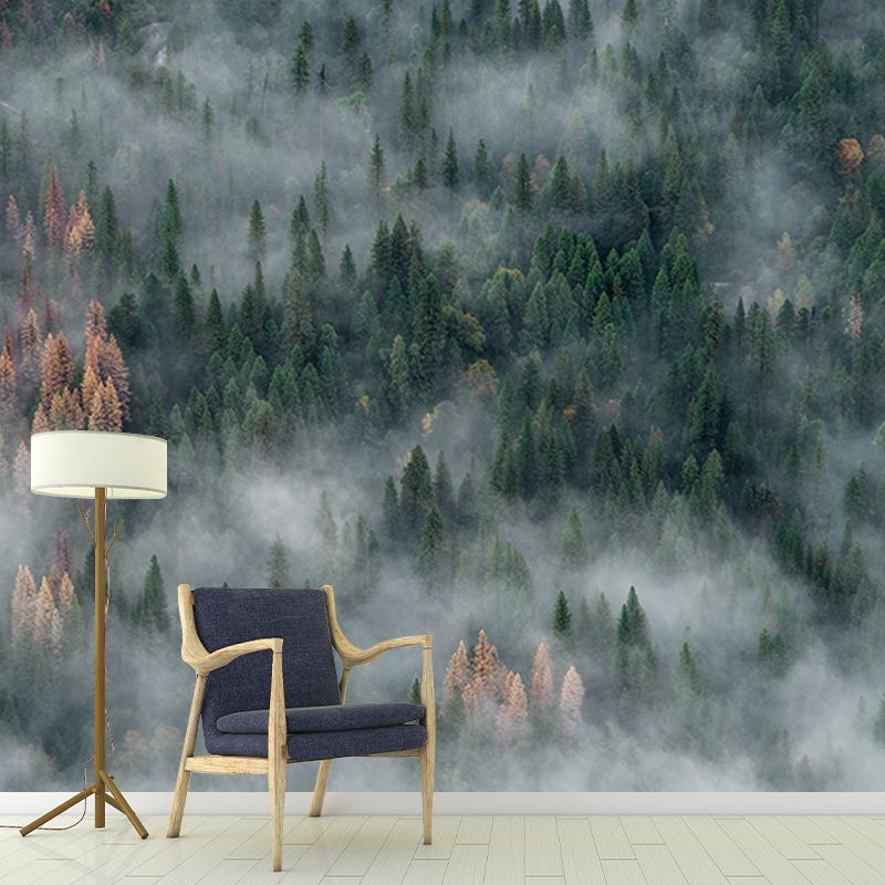 Photography Stain Resistant Wall Mural Wallpaper Quiet Forest Sitting Room Wall Mural