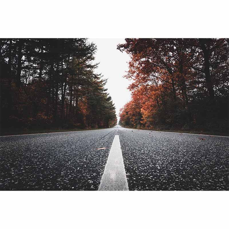 Mildew Resistant Road Wall Mural Wallpaper for Guest Room Decoration