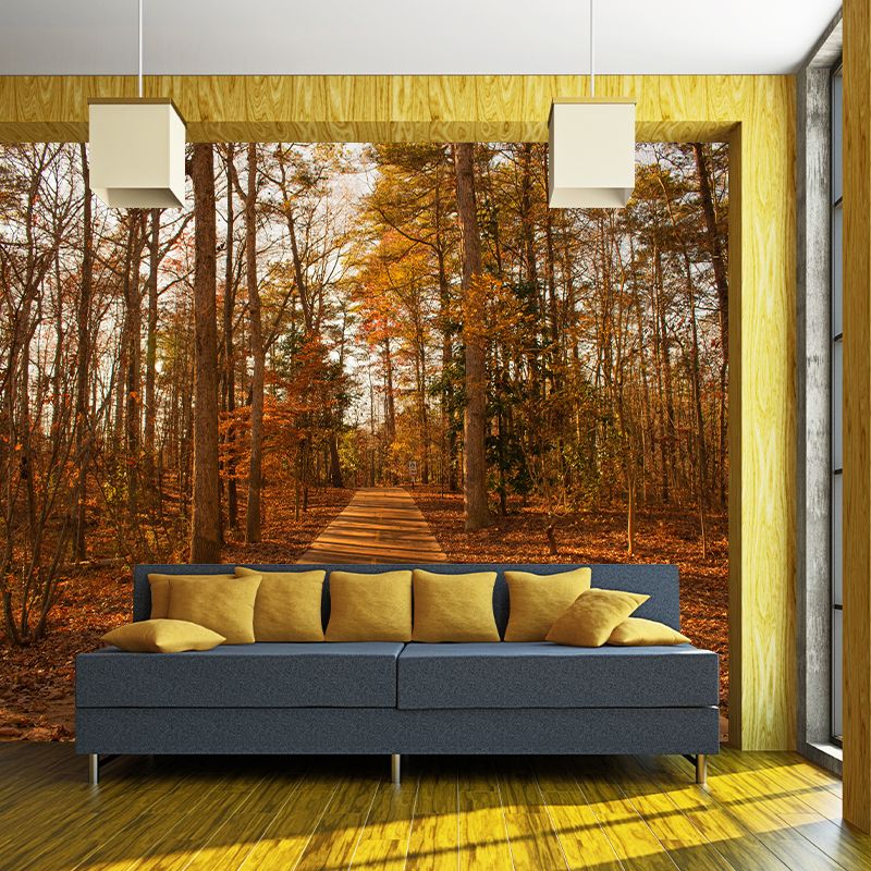 Contemporary Living Room Wall Decor Autumn Forest Mural Wallpaper, Moisture Resistant