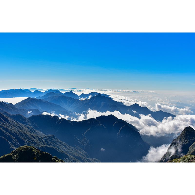 Alpine Photo Mural Stain-Resistant Wall Decor for Guest Room, Personalized Size