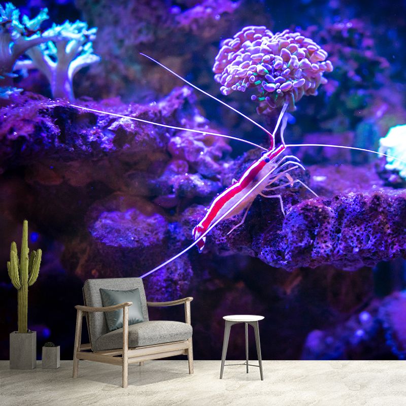 Underwater Creature Wall Decals for Girls Boys Bedroom, Moisture Resistant