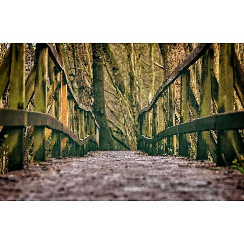 Eco-friendly Photography Space Extension Mural for Wall Decor