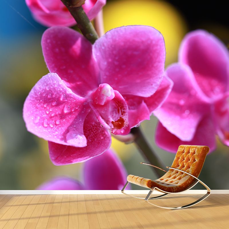 Cymbidium Murals for Sleeping Room Personalized Wall Decor, Moisture Resistant