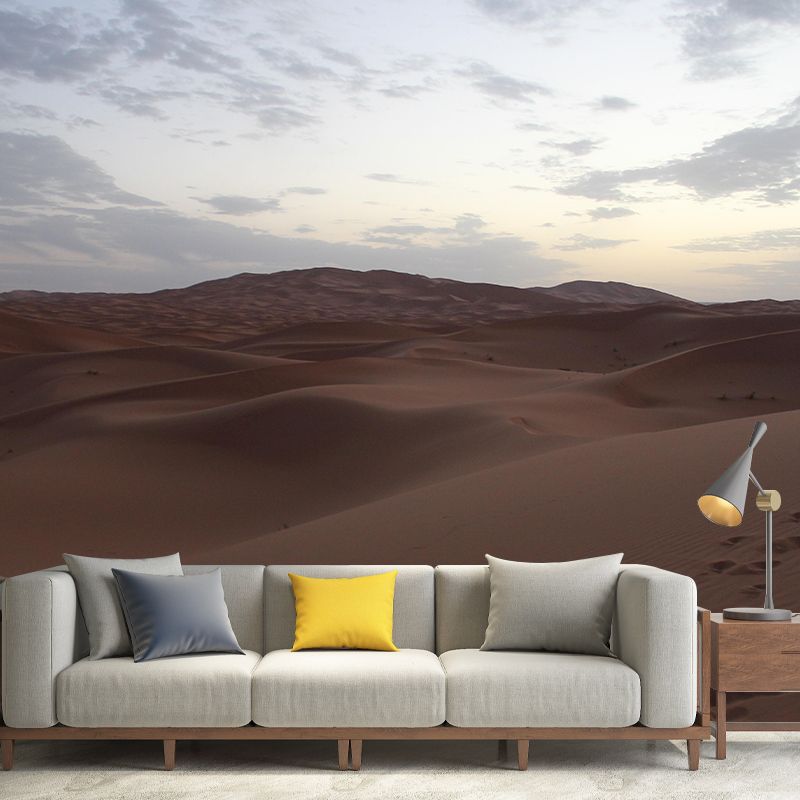 Desert Mural Wallpaper Horizontal Photography Style for Guest Room Decor