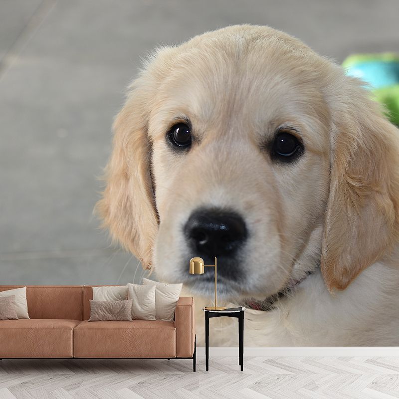 Lovely Dog Wall Mural Removable Wall Covering for Sleeping Room,Water Resistant