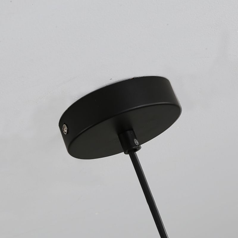 Indoor Globe White Glass Hanging Light, Simple Hanging Lamp with Flower Top