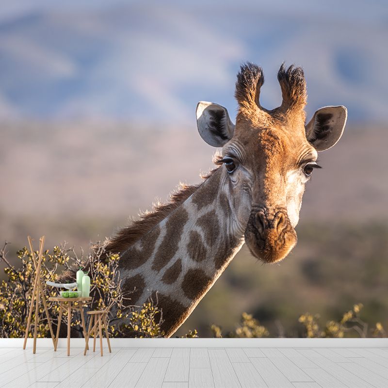 Giraffe Custom Photography Wall Murals Moisture Resistant, Made to Measure