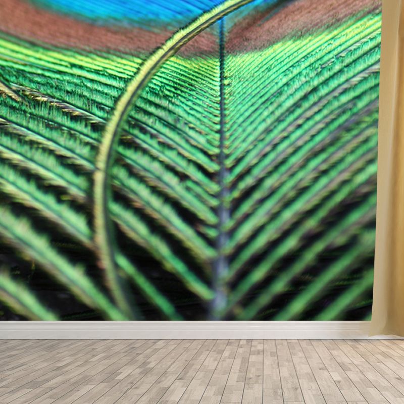 Peacock Feather Wallpaper Murals for Bedroom Water Resistant, Personalised Size