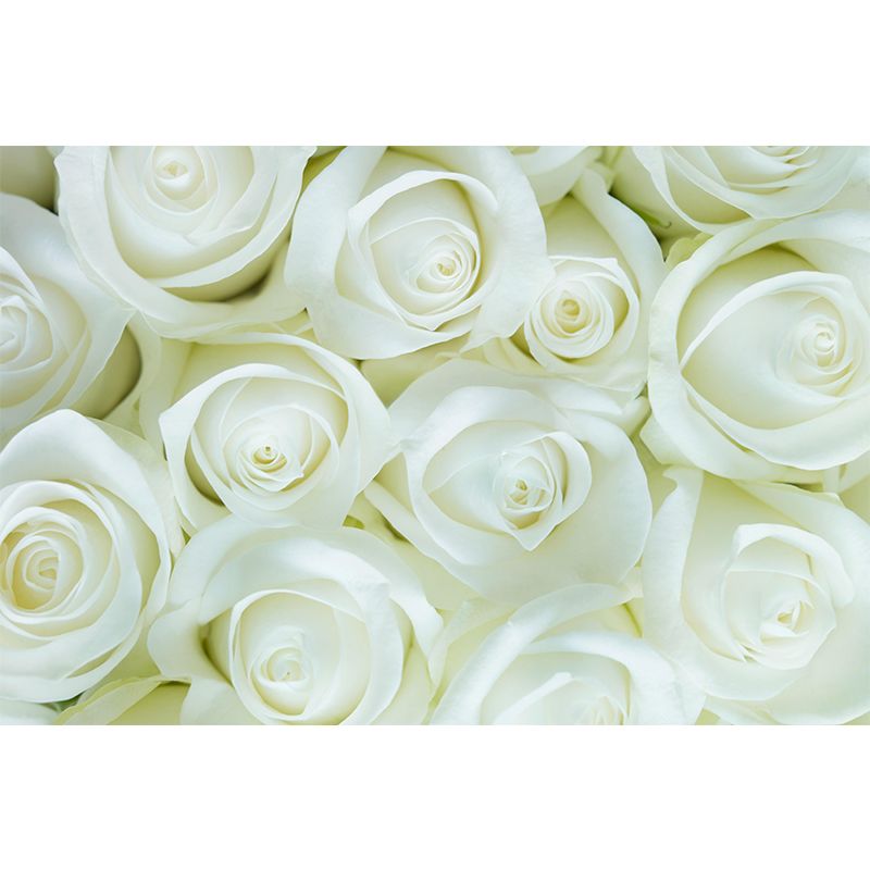 Beautiful Roses Wall Covering for Living Room Contemporary Moisture-Resistant Mural