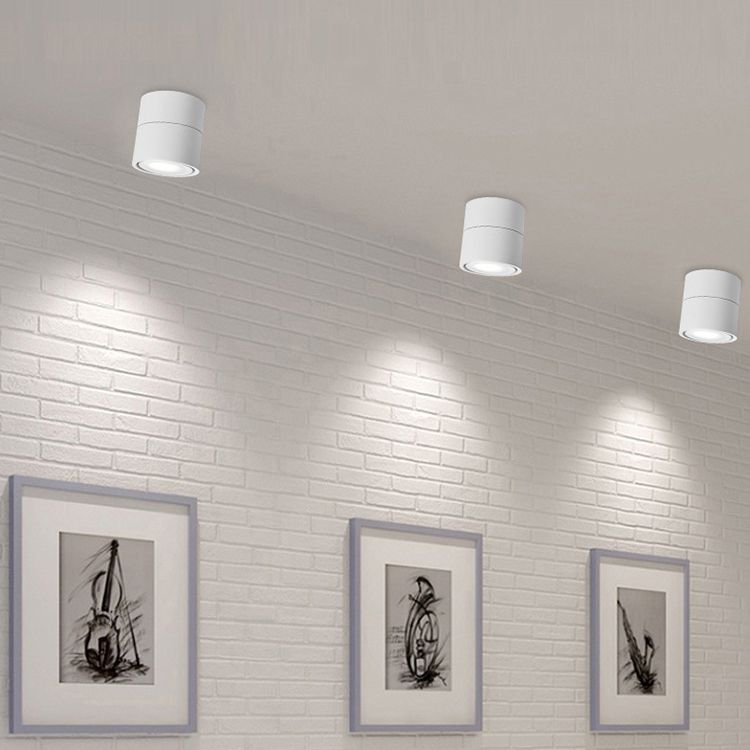 Modern Simple Style Metal Ceiling Light Adjustable Cylinder Shape Ceiling Lamp for Bedroom
