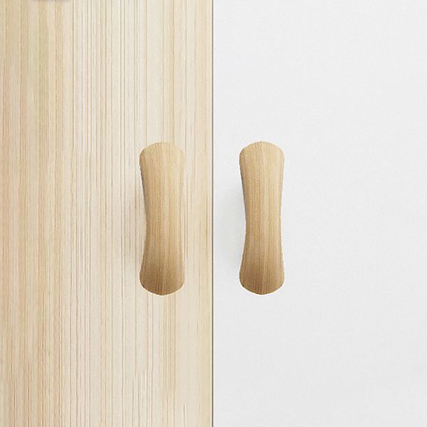 Modern White Wardrobe for Home Engineered Wood Cabinet with Hinged Doors