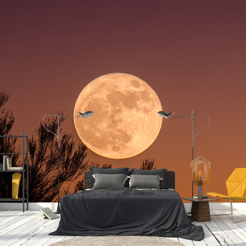 Beautiful Photography Mural Wallpaper Cosmos Decorative Indoor Wall Mural