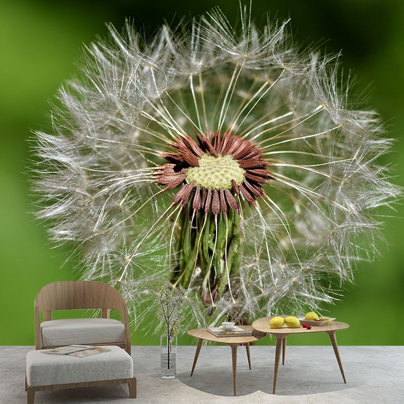 Dandelion Plant Mural Wallpaper Water-Resistant Wall Covring for Bedroom Decoration