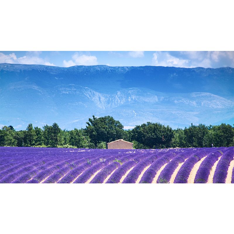 Lavenders Wallpaper Mural Decal Customized Modern Wall Covering for Bedroom