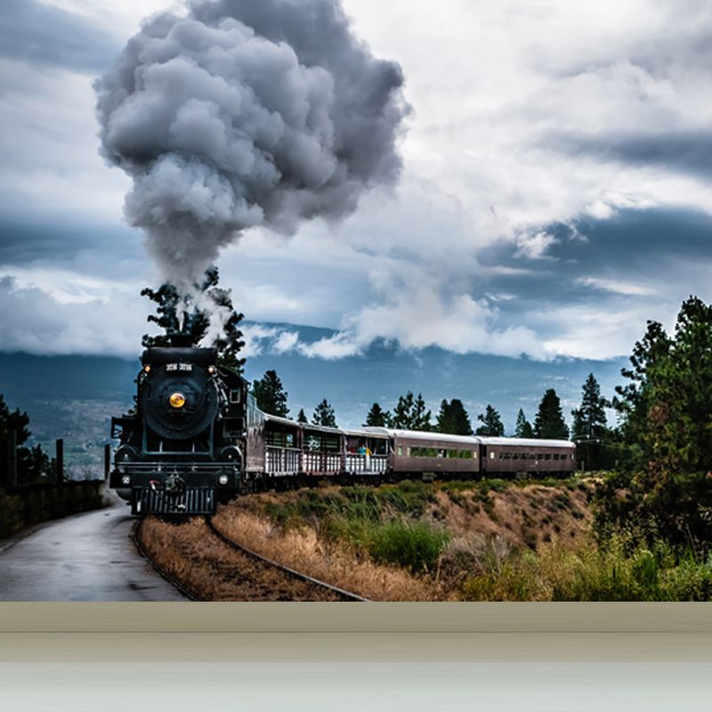 Non-Woven Texture Decorative Mural Decal Steampunk Onrushing Train Wall Covering