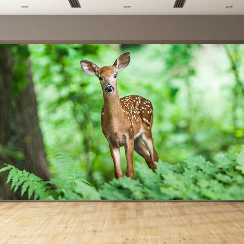 Animals Photography Mildew Resistant Wallpaper Environmental Sleeping Room Wall Mural