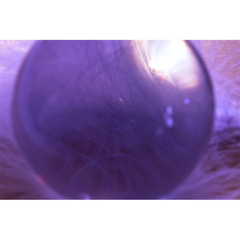 Feather Photography Mural Wallpaper Environment Friendly Living Room Wall Mural