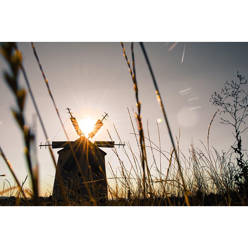 Customized Windmill Photography Mural Wallpaper Eco-friendly for Sitting Room