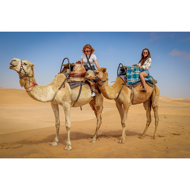 Decorative Desert Wall Mural Stain Resistant Living Room Photography Murals