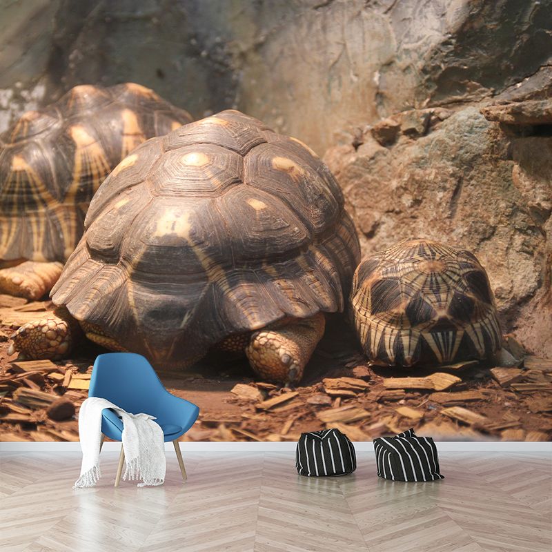 Underwater World Wall Mural Contemporary Photography Wall Covering for Home Decor