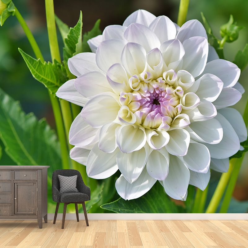 Modern Blossoming Flower Wall Mural Customized Size for Home Decoration