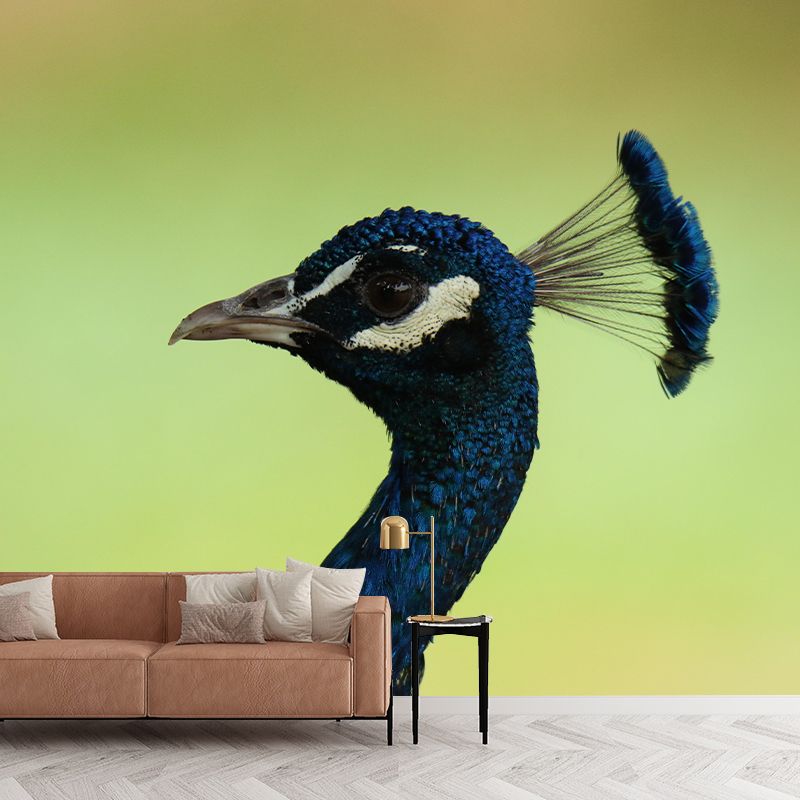 Peacock Animal Mural Wallpaper Stain Resistant Wall Covering for Gust Room