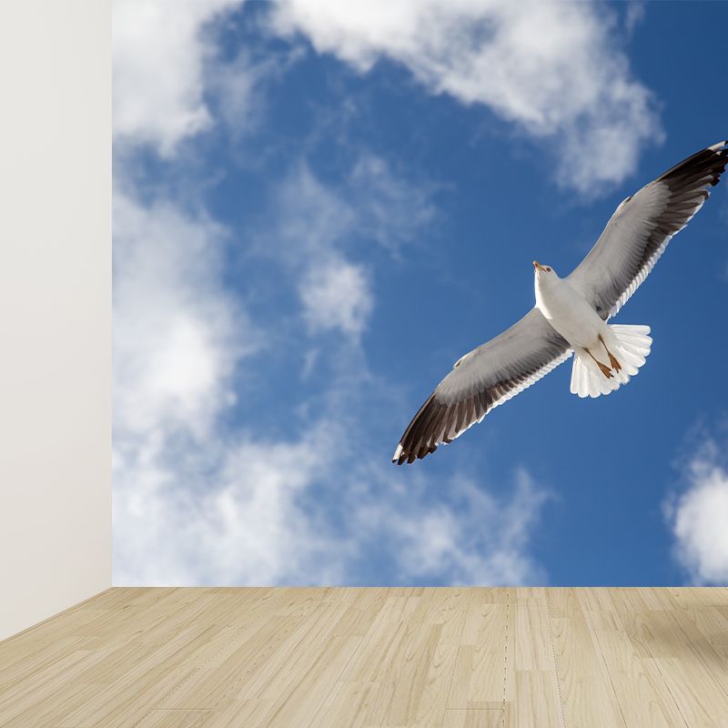 Seagull Wall Paper Murals for Home Blue and White, Custom Size Available