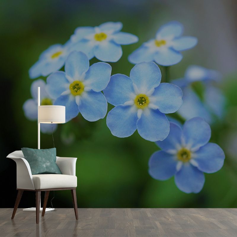 Customized Forget-Me-Not Mural Wall Covering Eco-friendly Wallpaper for Bedroom