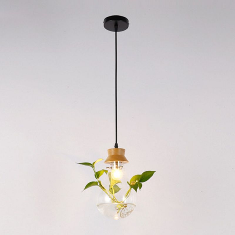 Contemporary Design Bulb Glass Shade Hanging Lamp Hydroponics Plant Drop Pendant for Coffee Shop