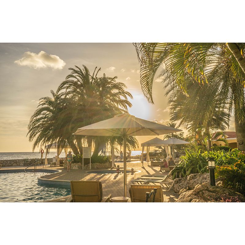 Environment Friendly Wall Mural Wallpaper Tropical Sitting Room Wall Mural