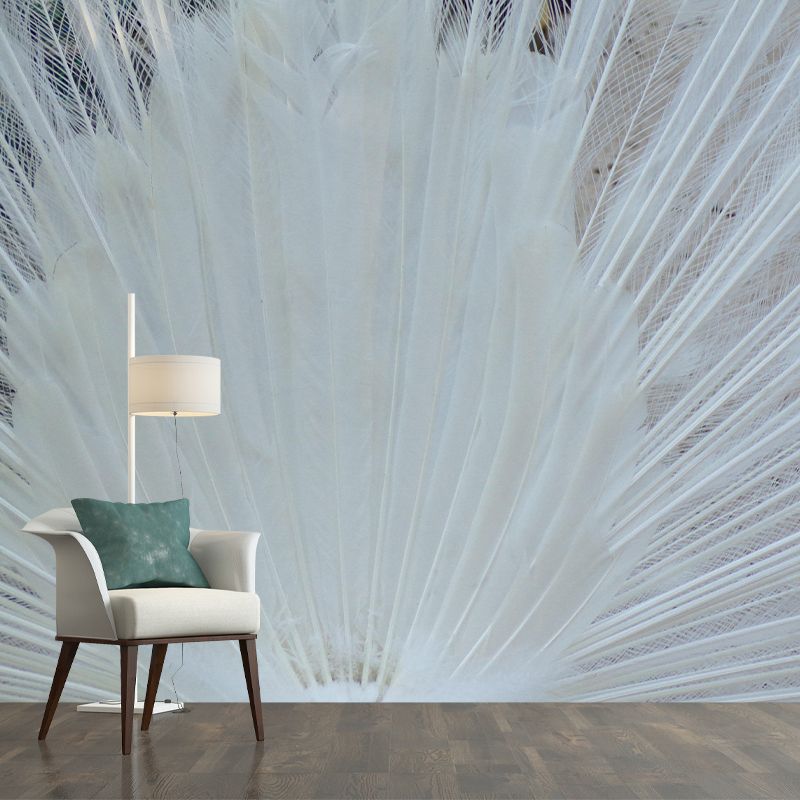 Peacock Feather Wall Mural Wallpaper Mildew Resistant Wall Covering for Decoration