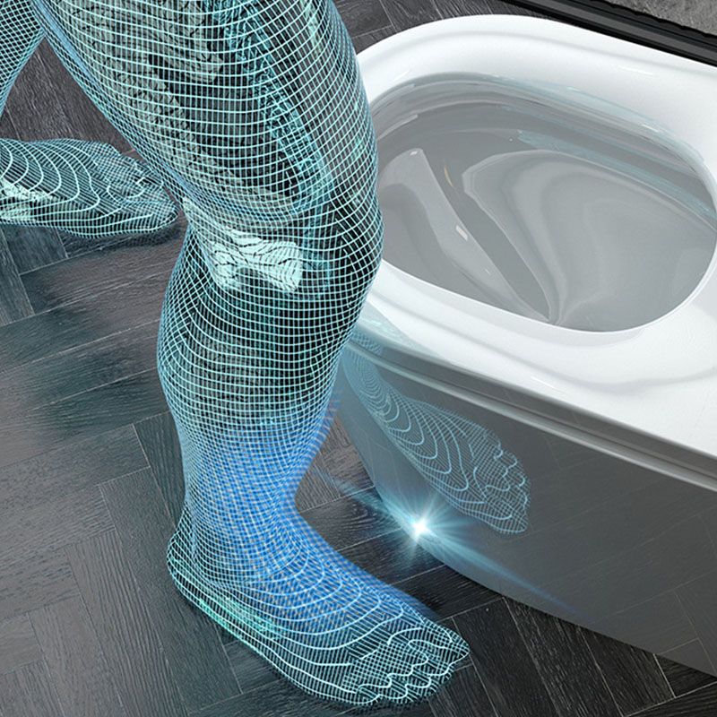 Contemporary Flush Toilet Floor Mounted One-Piece Toilet ABS Toilet Bowl